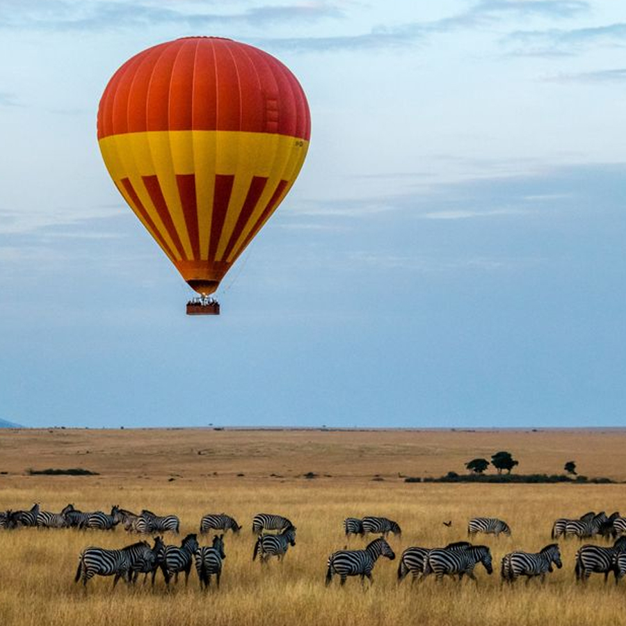 Afrika 101